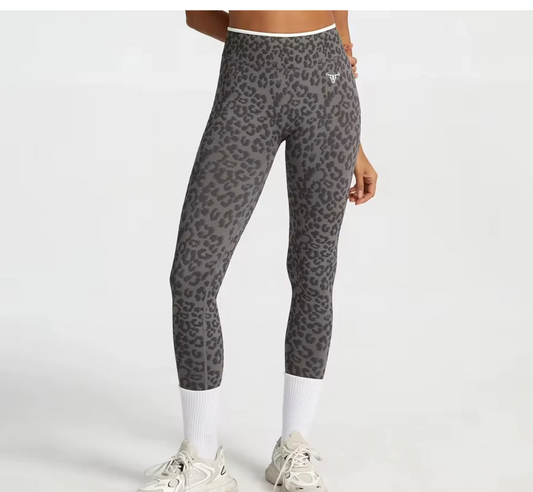 PRE-ORDER Seamless Wildcat Legging Graphite