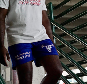 Statement Mesh Shorts Bills x Blue