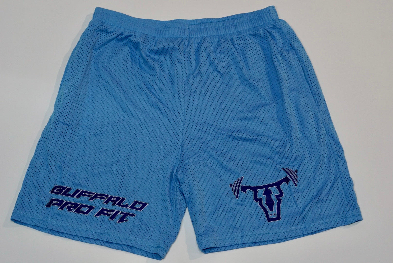 Statement Mesh Shorts Carolina Blue/Purple