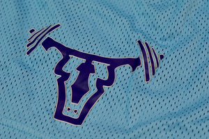 Statement Mesh Shorts Carolina Blue/Purple